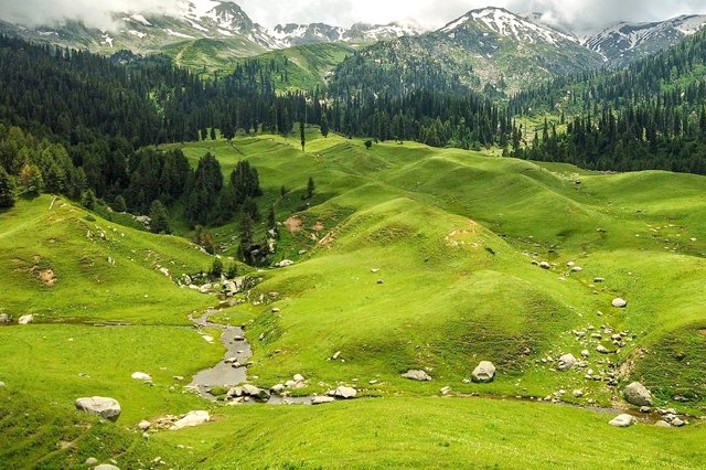 Budget Hotel in Katra